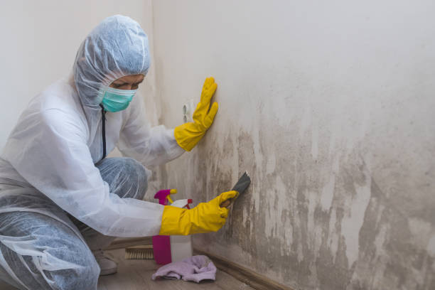 Crawl Space Mold Removal in Five Points, NC
