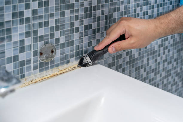 Best Affordable Mold Removal  in Five Points, NC