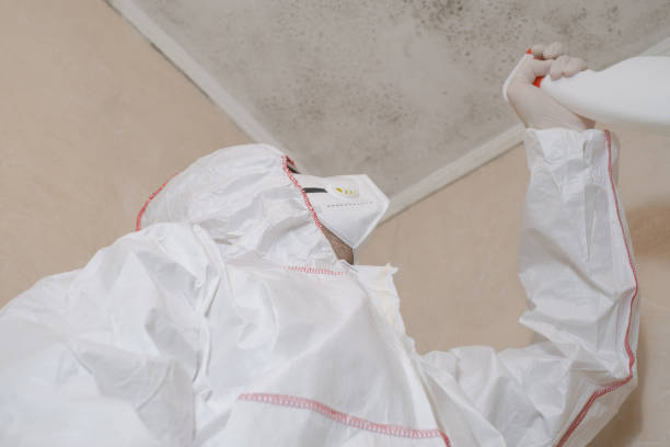 Best Office Mold Removal Services  in Five Points, NC